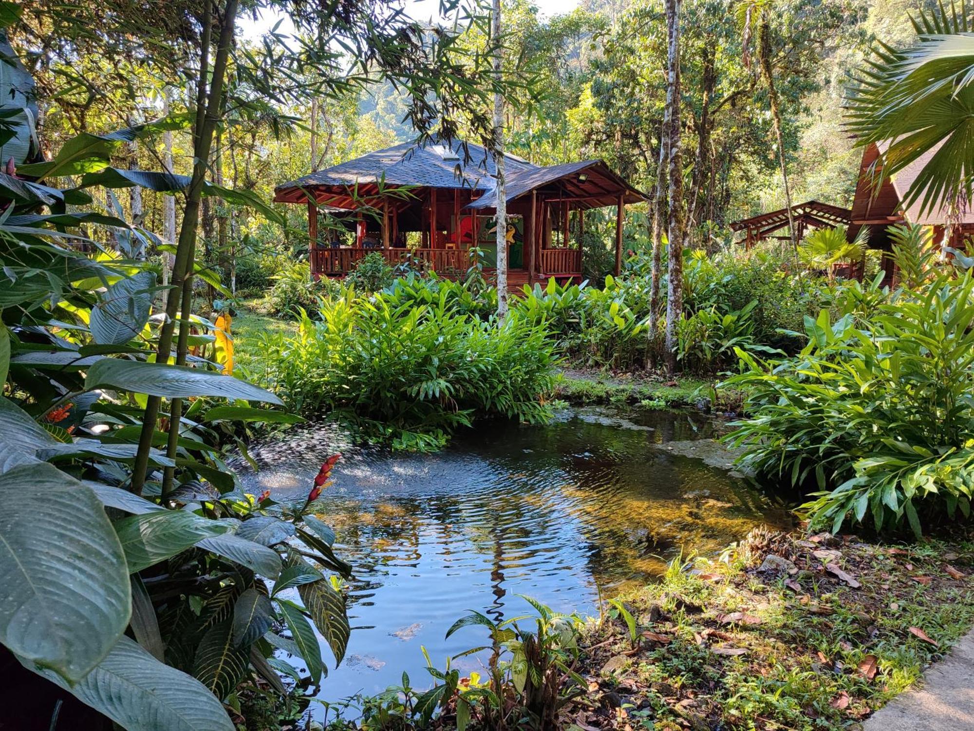 Mindo Garden Lodge And Wildlife Reserve Eksteriør bilde